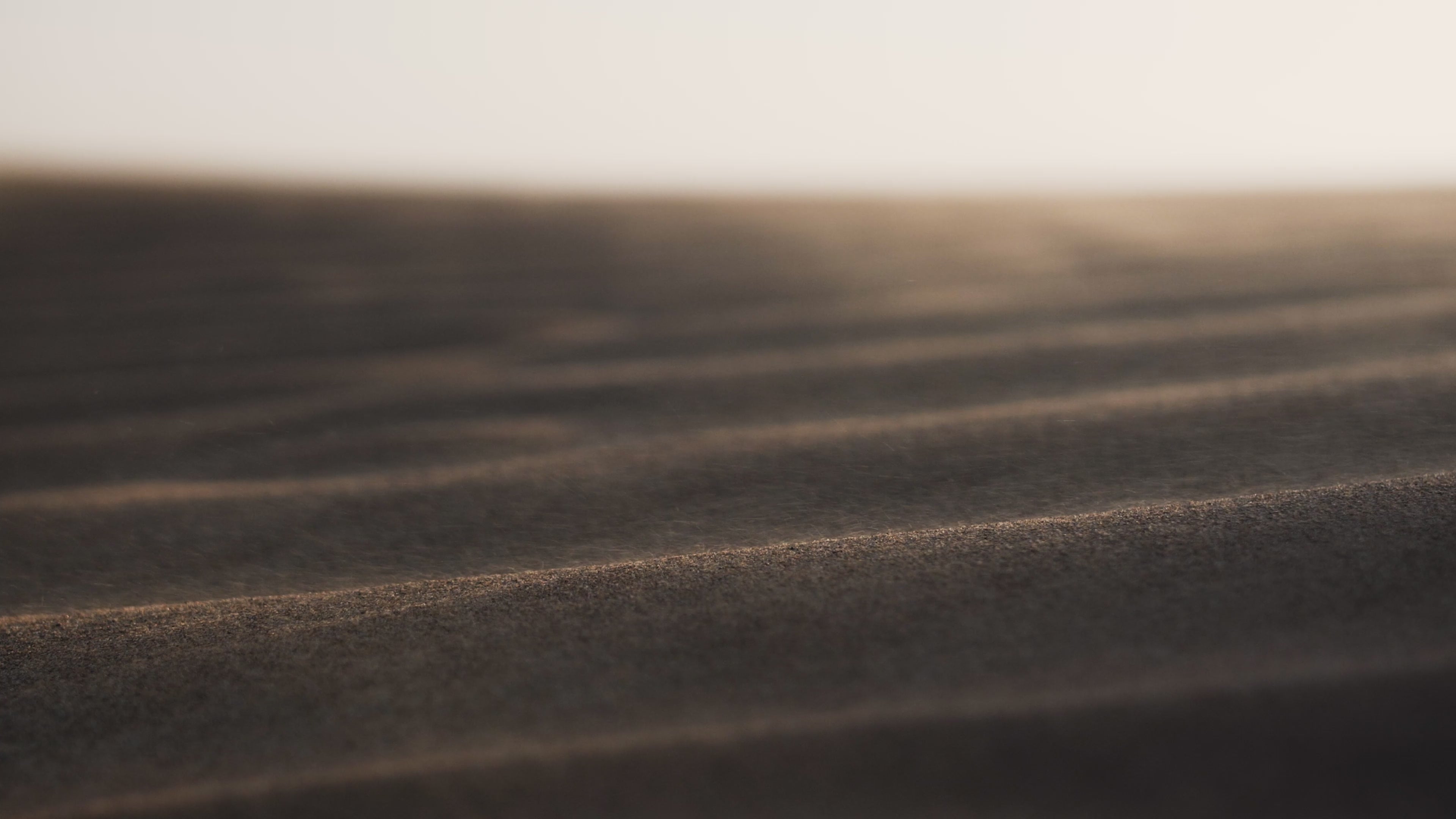 Load video: The video showcases the Evoltrix Conqueror X electric off-road motorcycle's performance in the wild.